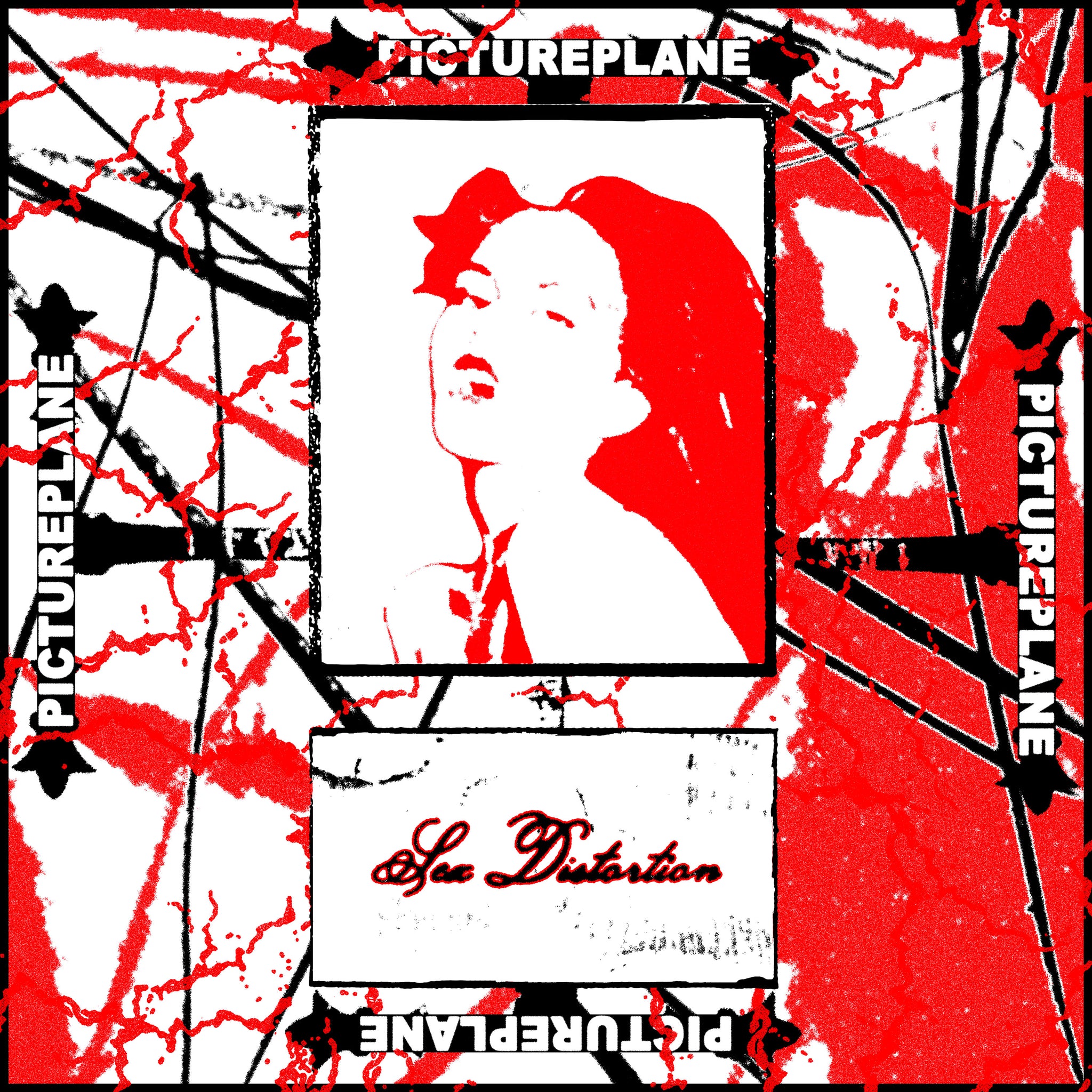 Pictureplane - Sex Distortion 12